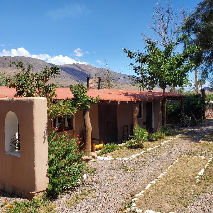 Alta Montana Cabanas Hotel Tilcara Bagian luar foto