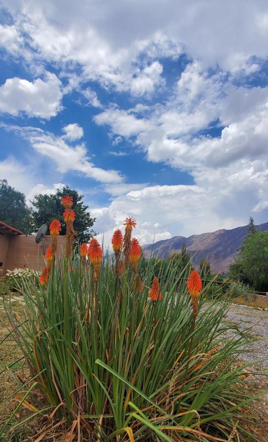 Alta Montana Cabanas Hotel Tilcara Bagian luar foto