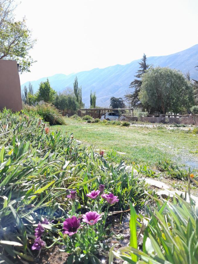 Alta Montana Cabanas Hotel Tilcara Bagian luar foto